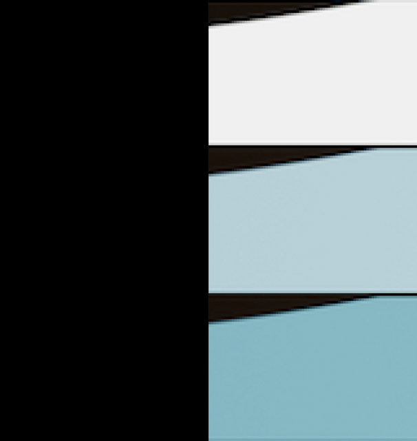 Black / Cold Colours