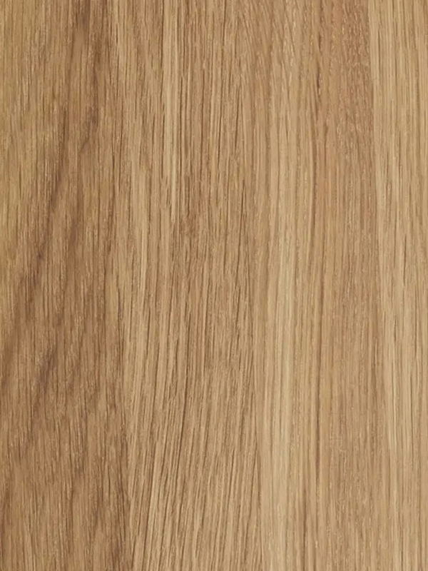 Details of the fine grain structure of oak.