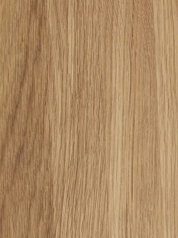 Details of the fine grain structure of oak.